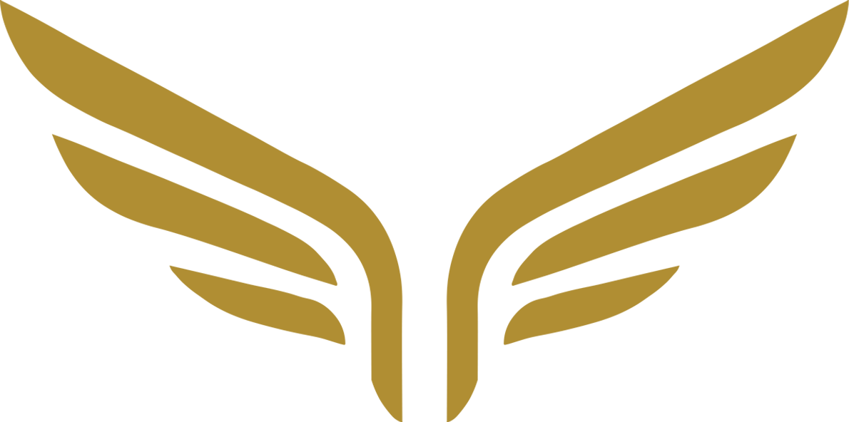 ICARION winged mark